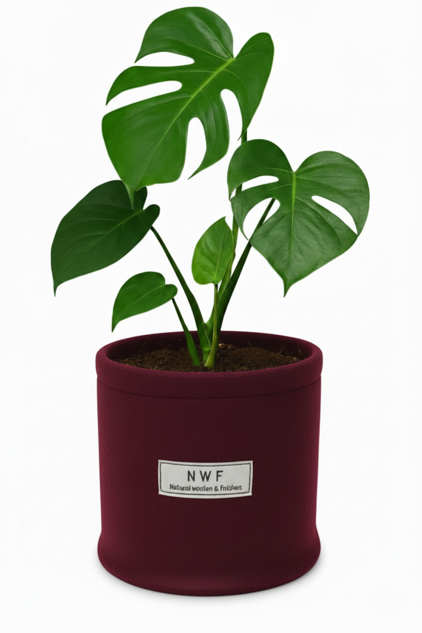 Wool Pot – Premium Eco-Friendly, Breathable & Reusable Planter | NWF