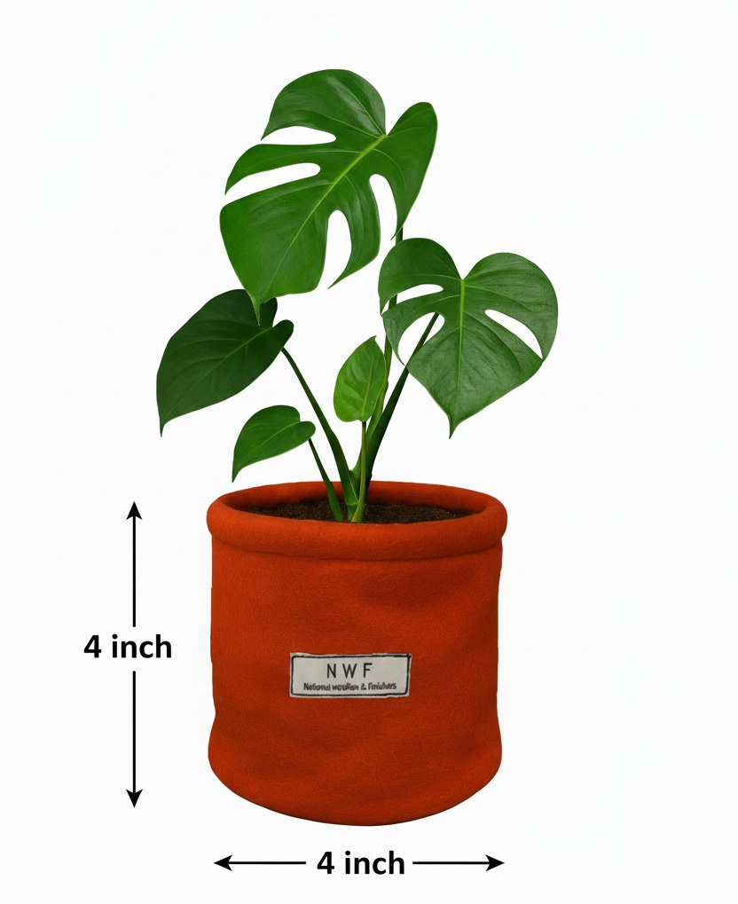 Wool Pot – Premium Eco-Friendly, Breathable & Reusable Planter | NWF