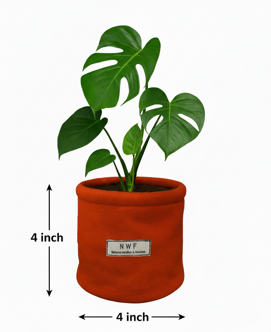 Wool Pot – Set of 4 Piece | Premium Eco-Friendly, Breathable & Reusable Planter | NWF National Woollen & Finishers