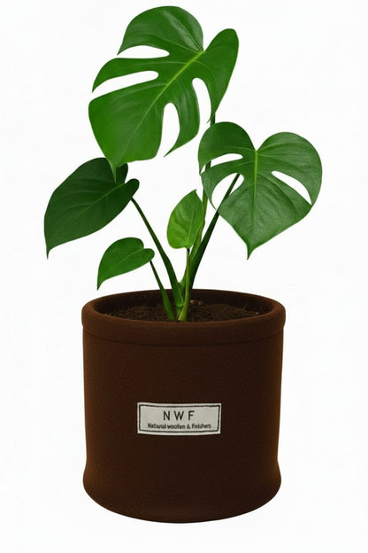 Wool Pot – Premium Eco-Friendly, Breathable & Reusable Planter | NWF