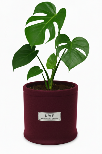 Wool Pot – Premium Eco-Friendly, Breathable & Reusable Planter | NWF