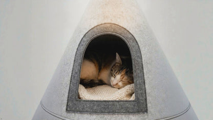 NWF Felt Cat Cave Bed with Cushion, Foldable Cat House Tent, Indoor Cat Bed Cave for Cats & Kittens, Cozy Pet Cave Bed for Small Dogs (Without Cushion)