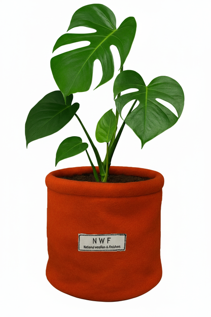 Wool Pot – Premium Eco-Friendly, Breathable & Reusable Planter | NWF